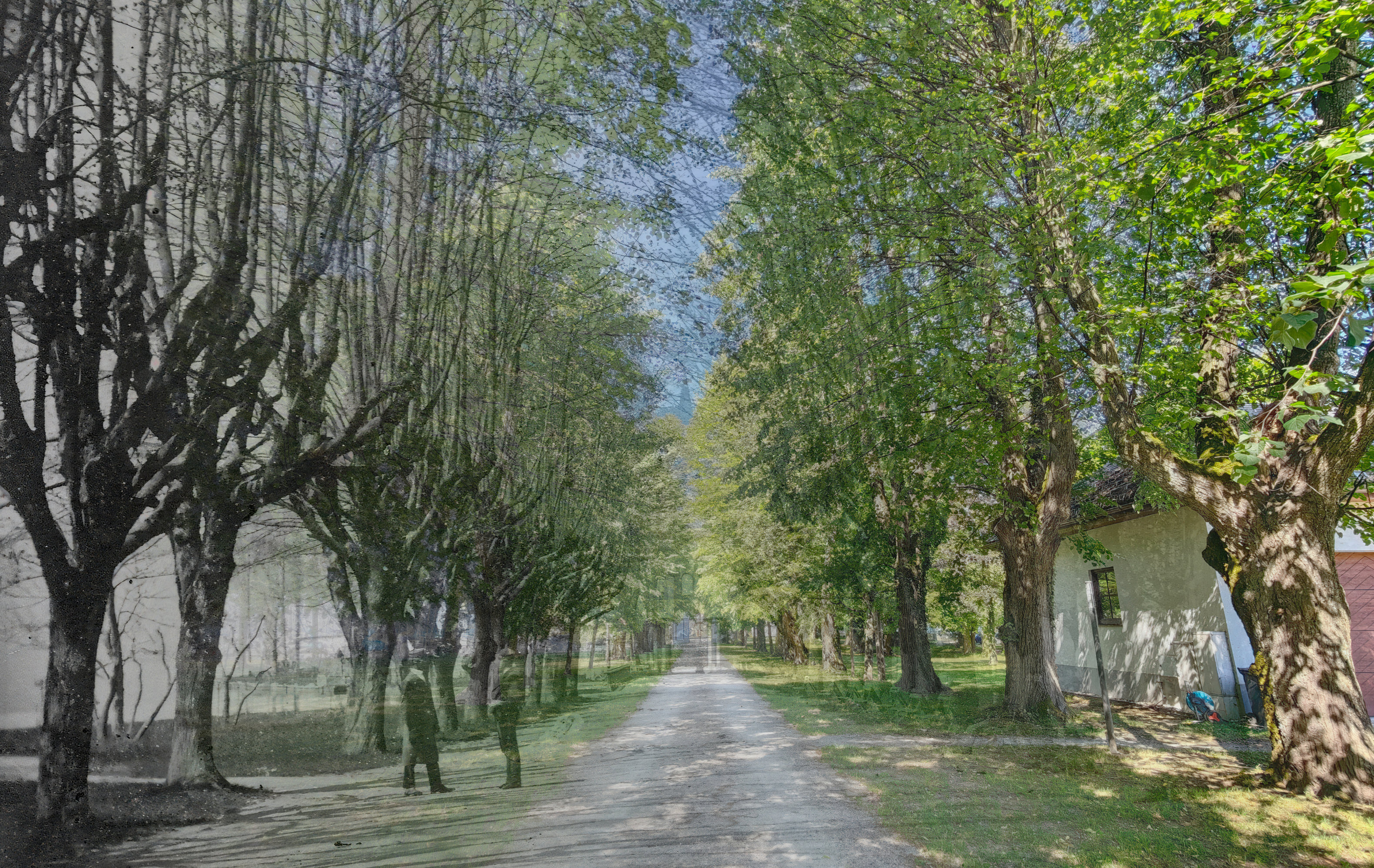 Die Allee beim Heimathaus