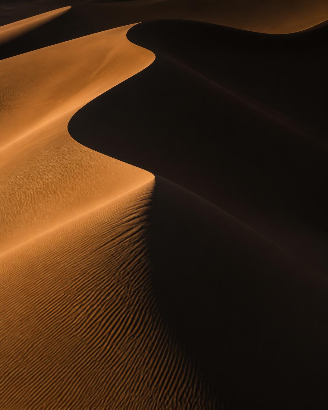 Oase zur Mittagszeit — goldene Wüstendünen mit markanten Schatten